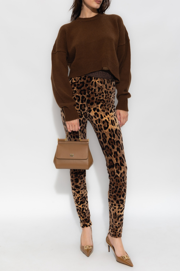 Brown Leggings with leopard print Dolce Gabbana Vitkac Spain